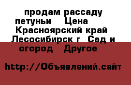 продам рассаду петуньи. › Цена ­ 20 - Красноярский край, Лесосибирск г. Сад и огород » Другое   